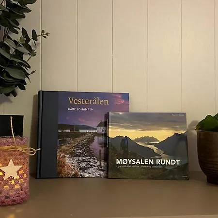 Sjelefred - Ocean Apartman *