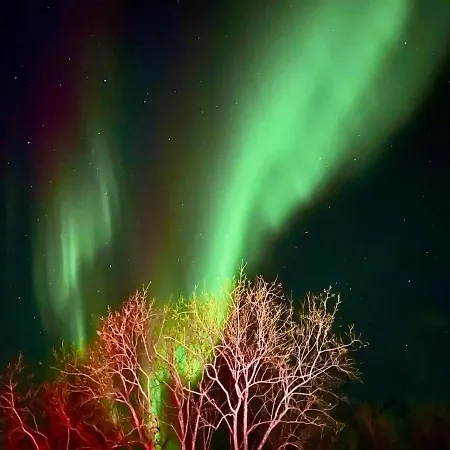 Apartman Sjelefred - Ocean