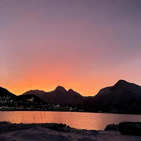 Apartman Sjelefred - Ocean