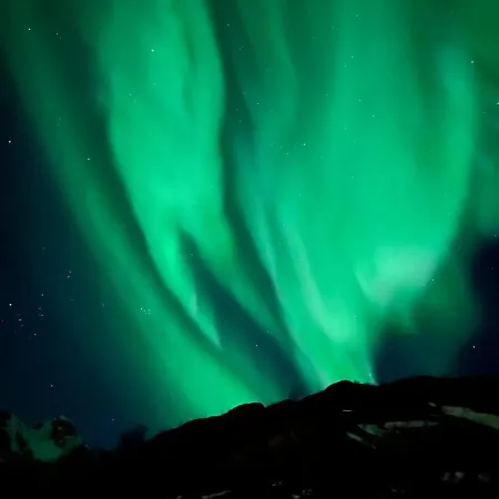 Sjelefred - Ocean Apartman *