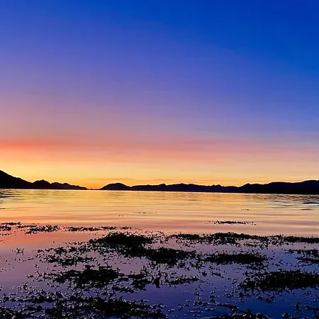 Apartman Sjelefred - Ocean *